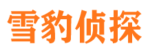 天山市调查取证